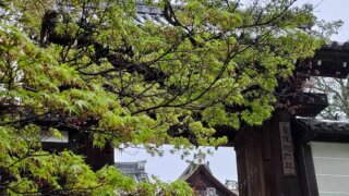 Thumbnail of post image 141