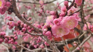 Thumbnail of post image 023