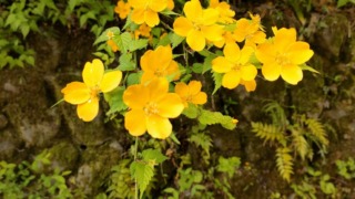 Thumbnail of post image 170