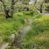 Thumbnail of new posts 111