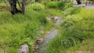 Thumbnail of post image 008