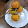 Thumbnail of new posts 079