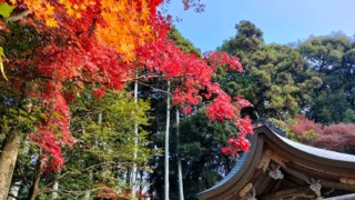 Thumbnail of post image 159